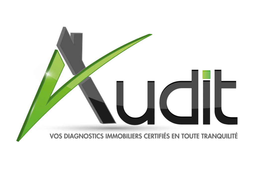 logo-Audit-fond-transparent